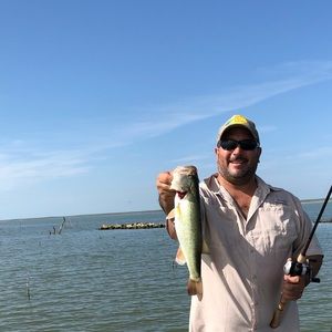 Meet your Posher, Randy